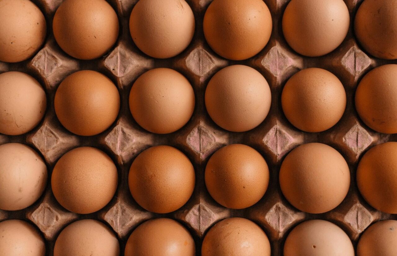 ovos