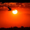 Dia do Sol em Curitiba.
Foto: José Fernando Ogura