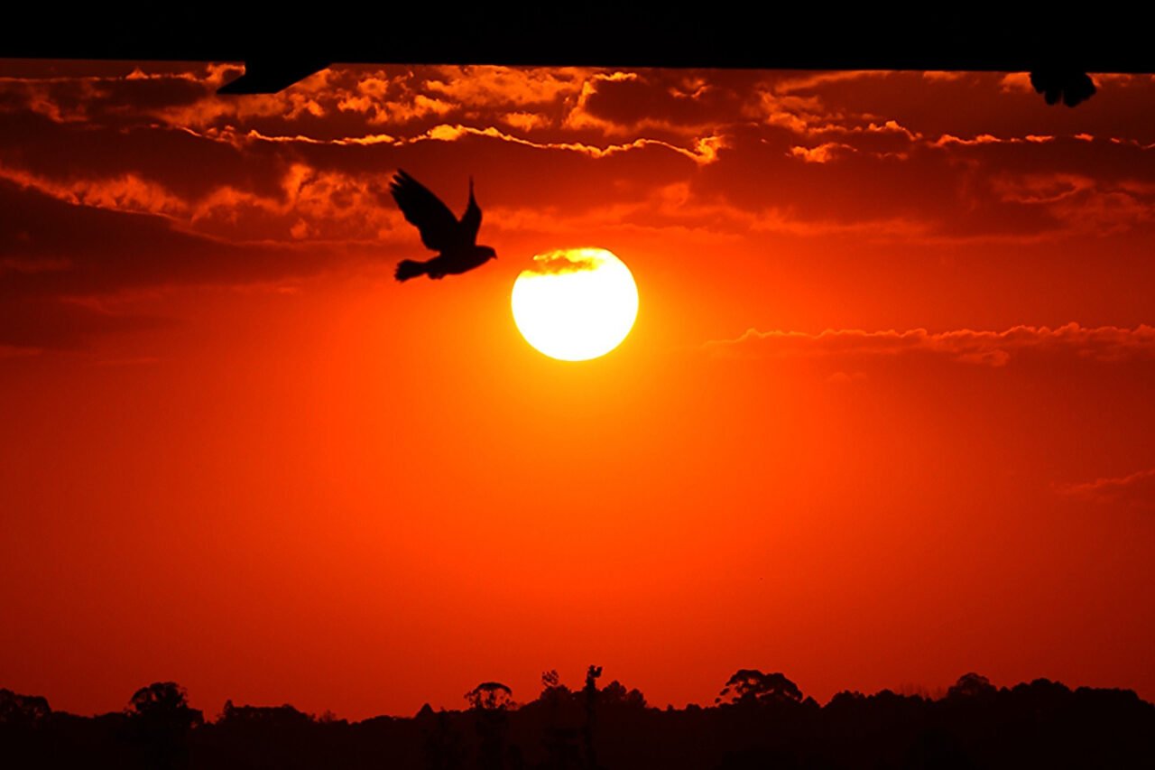 Dia do Sol em Curitiba.
Foto: José Fernando Ogura