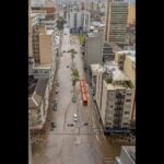 viscaonde de nacar cheia