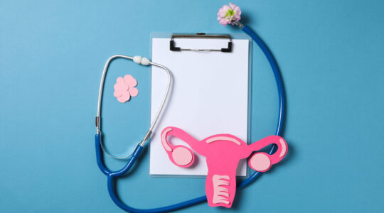 Women’s health and women’s healthcare concept with uterus