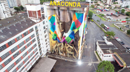 MOINHO ANACONDA PINTURA KOBRA