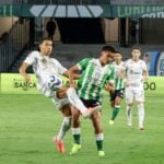 16coxa12