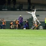 16coxa19