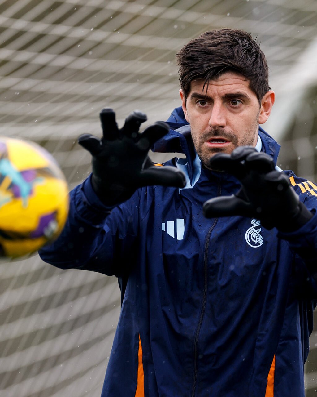 Courtois