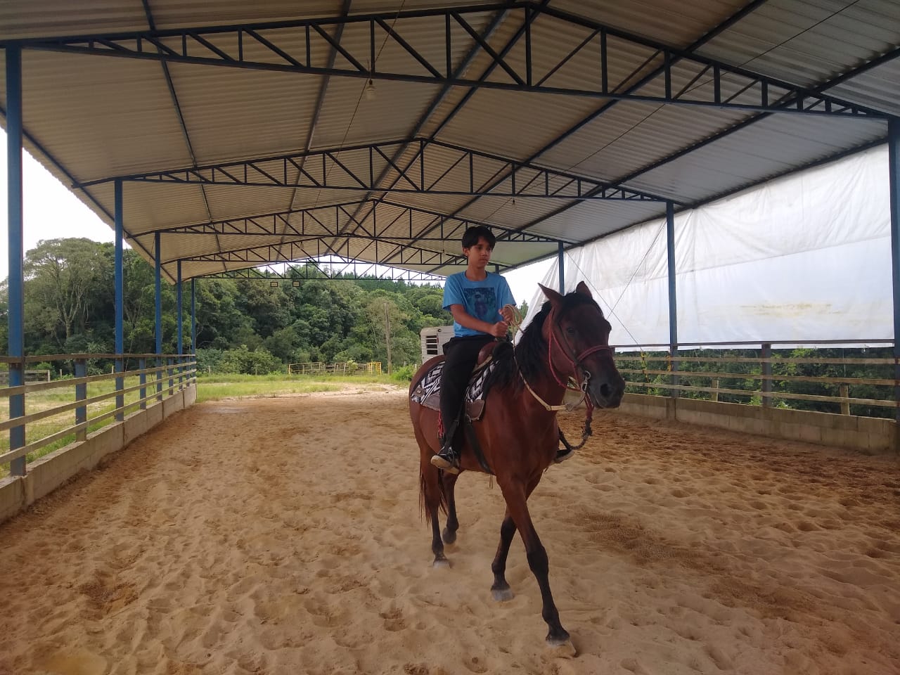 Foto Vivência Animais 1