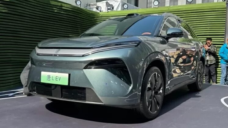 Novo Tang L