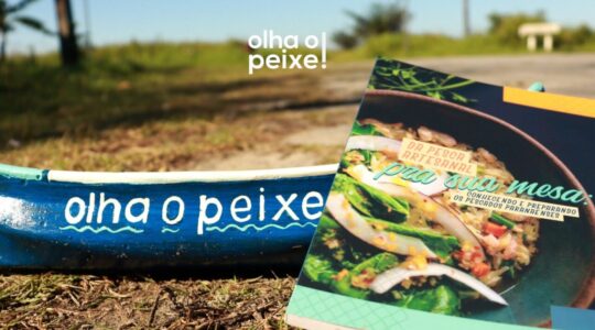 OLHA O PEIXE – IMAGENS (1)
