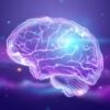 a-imagem-do-cerebro-humano