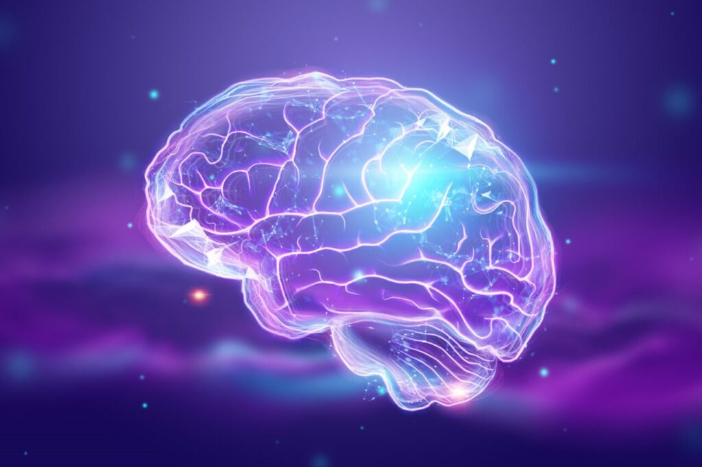 a-imagem-do-cerebro-humano