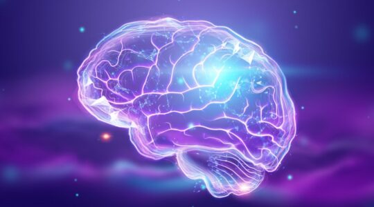 a-imagem-do-cerebro-humano