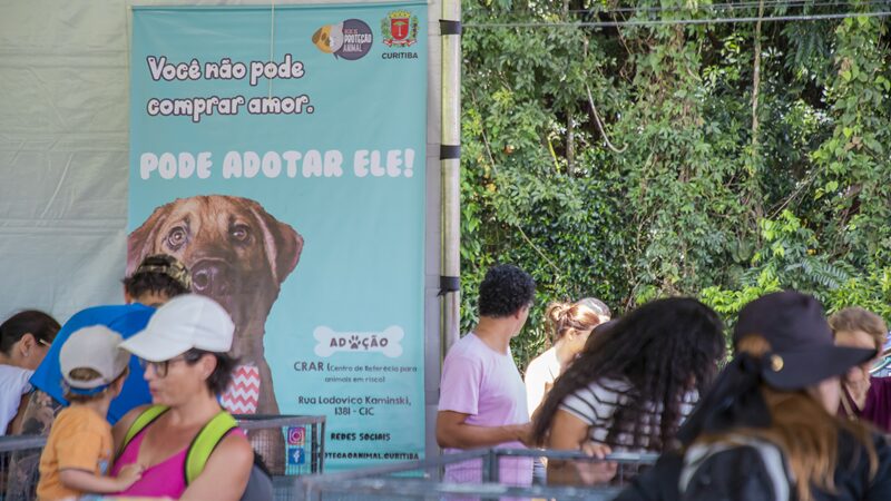 amigo bicho