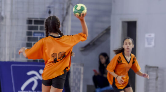 araucária jogos