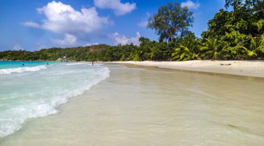 barbados