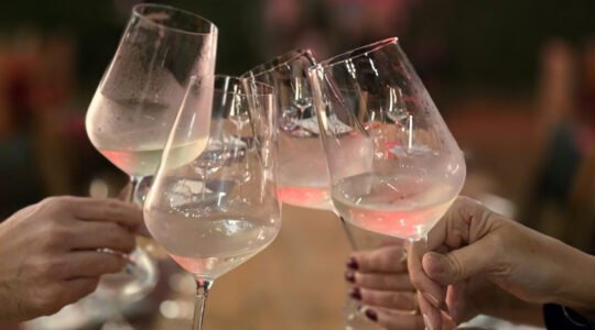 brinde Vino em Curitiba – foto Cauby Ross (1)