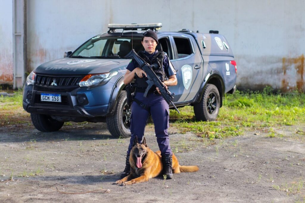 cães GCM5