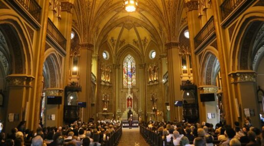 camerata na catedral