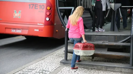 cão