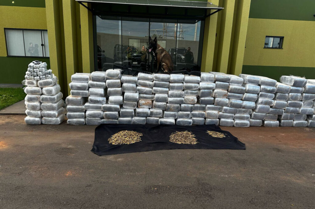cão nero e a droga
