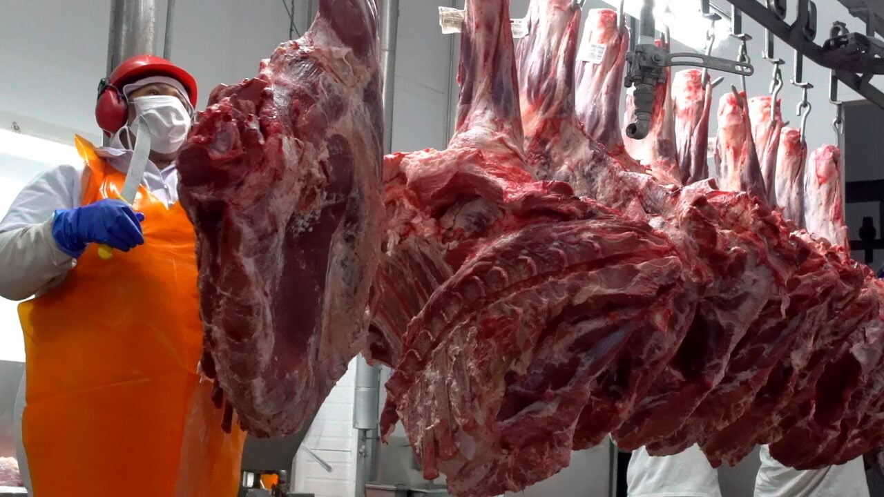 carne exporta