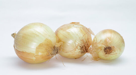 cebola