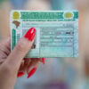 cnh gratuita foto roberto dziura