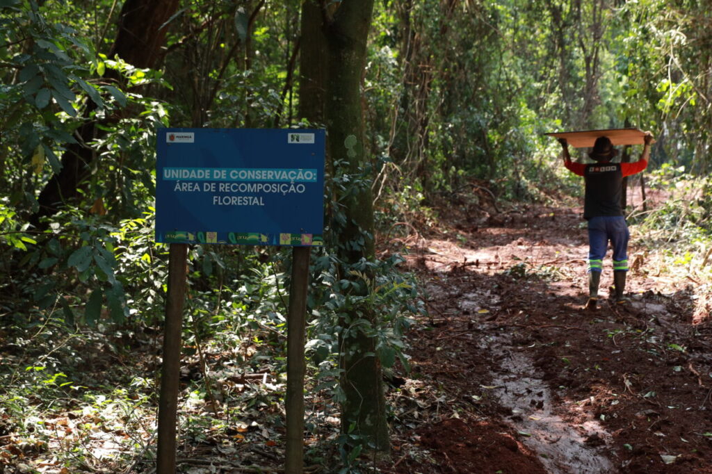consulta pública maringá