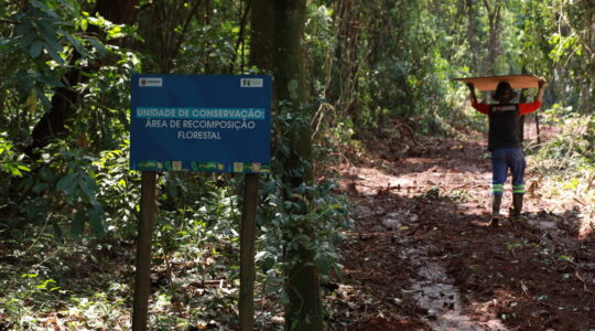 consulta pública maringá