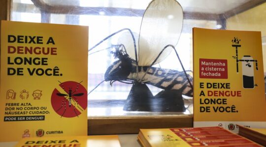 dengue