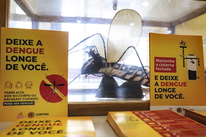 dengue