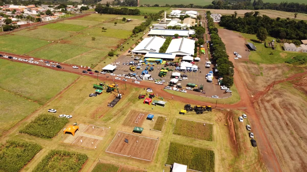 feira campo mourao