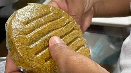 hamburguer de babaçu