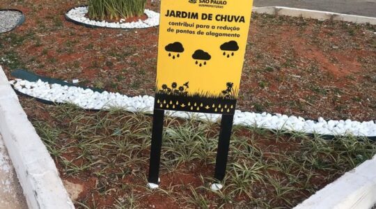 jardim
