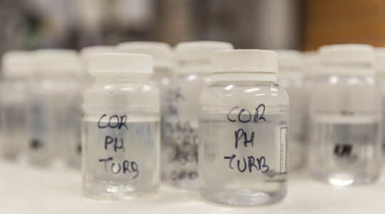 laboratório uem maringá