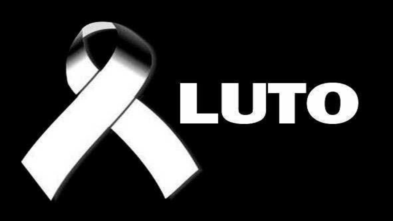 luto ufpr
