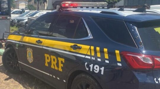 maconha recorde prf