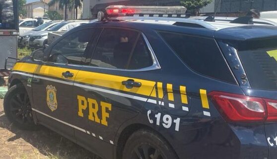 maconha recorde prf