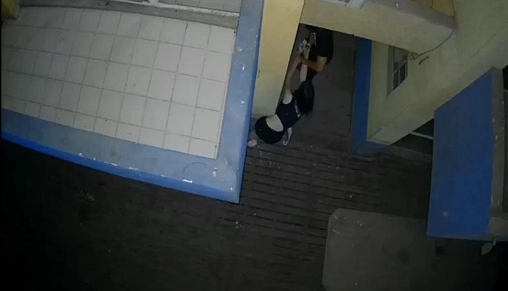paranagua.jpeg