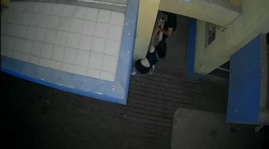 paranagua.jpeg
