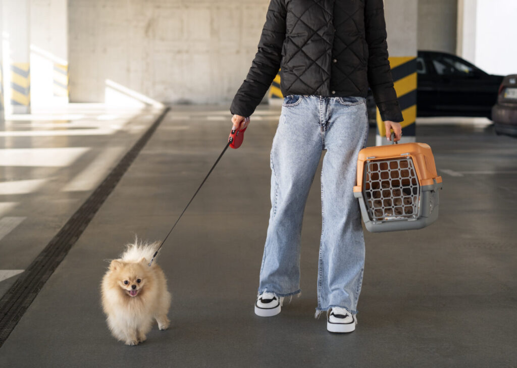 person-traveling-with-their-pet-carrier