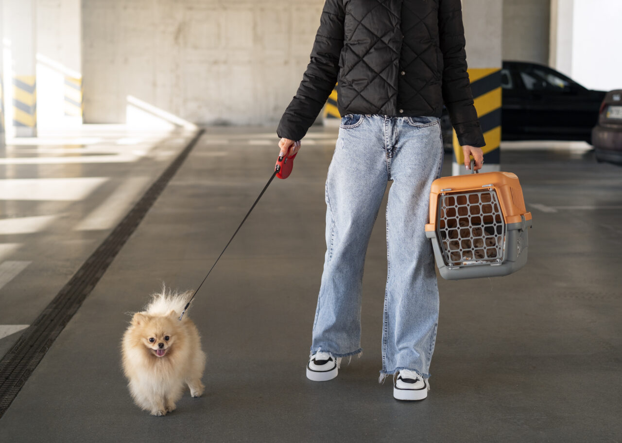 person-traveling-with-their-pet-carrier