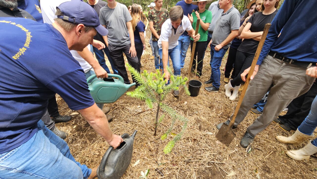 plantio Colégio Agrícola – Katia Pichelli 7