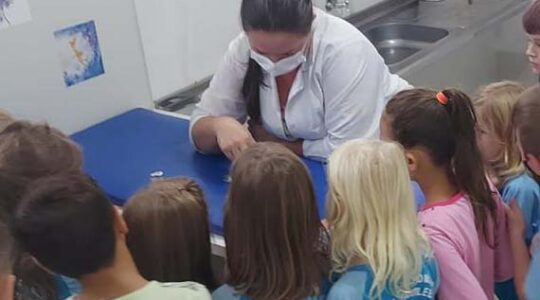 programa saude na escola
