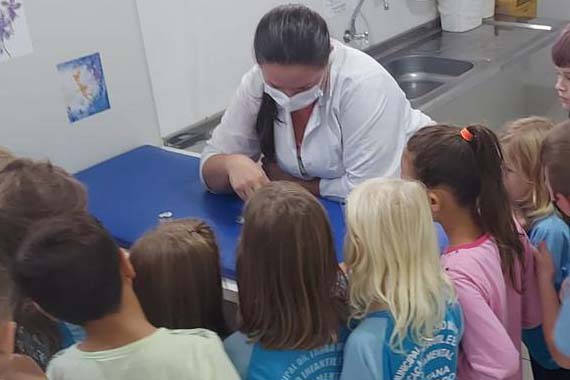 programa saude na escola