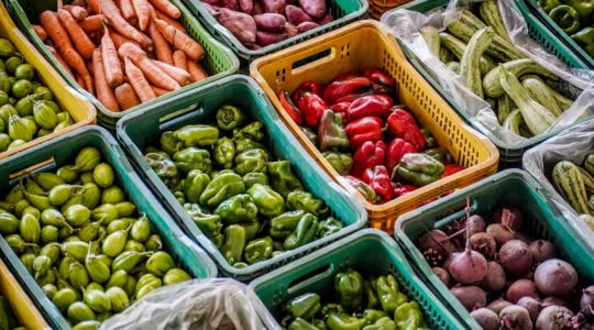 sguranca alimentar