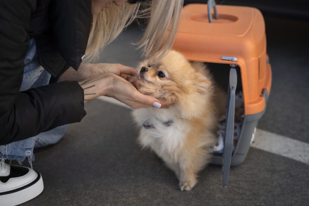side-view-woman-with-cute-dog