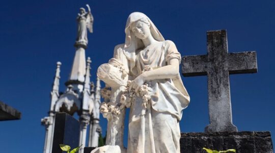visita guiada cemiterio