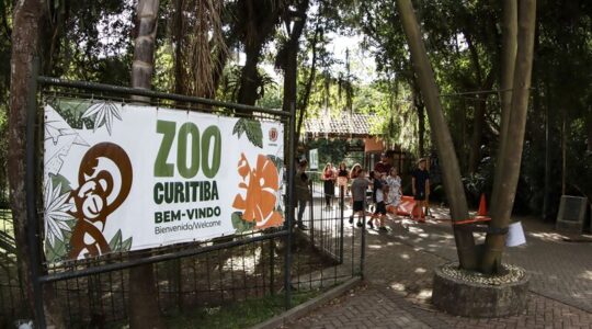 zoo de curitiba
