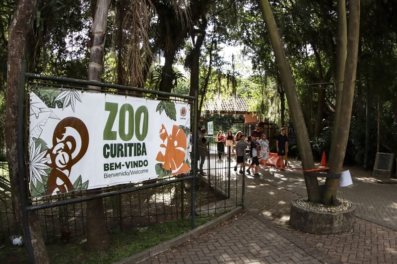 zoo de curitiba