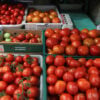 LEGUMES E VERDURAS NO MERCADO MUNICIPAL – BATATA – ALFACE – TOMATE – CENOURA –